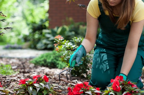 Supervisor reviewing safety checklist during hedge maintenance