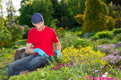 A man wearing a red t-shirt, blue gloves, and a patterned head covering is kneeling in a vibrant garden and trimming flowering plants with garden shears. The garden features a neatly maintained lawn area in the foreground, bordered by a variety of colorful flowers and green leafy shrubs, creating a lively and well-kept outdoor space. Behind him, there is a backdrop of tall trees and dense foliage, indicating a landscaped and natural environment typical of residential gardens in Thornton Heath. The scene is illuminated by natural daylight, suggesting a bright, pleasant weather condition ideal for outdoor gardening work. The setting showcases a diverse mix of plant textures and sizes, with some flowers in shades of yellow, purple, and pink, alongside lush green foliage, emphasizing a vibrant and healthy garden environment. This image illustrates professional gardening activities that complement services such as hedge trimming, lawn care, and general garden maintenance provided by Hedge Trimming Thornton Heath, supporting high-quality outdoor space upkeep in the local area.